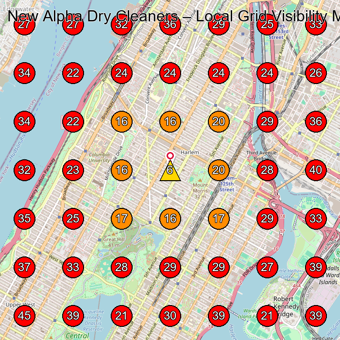 New Alpha Dry Cleaners GeoGrid visibility map for Dry Cleaner in New York
